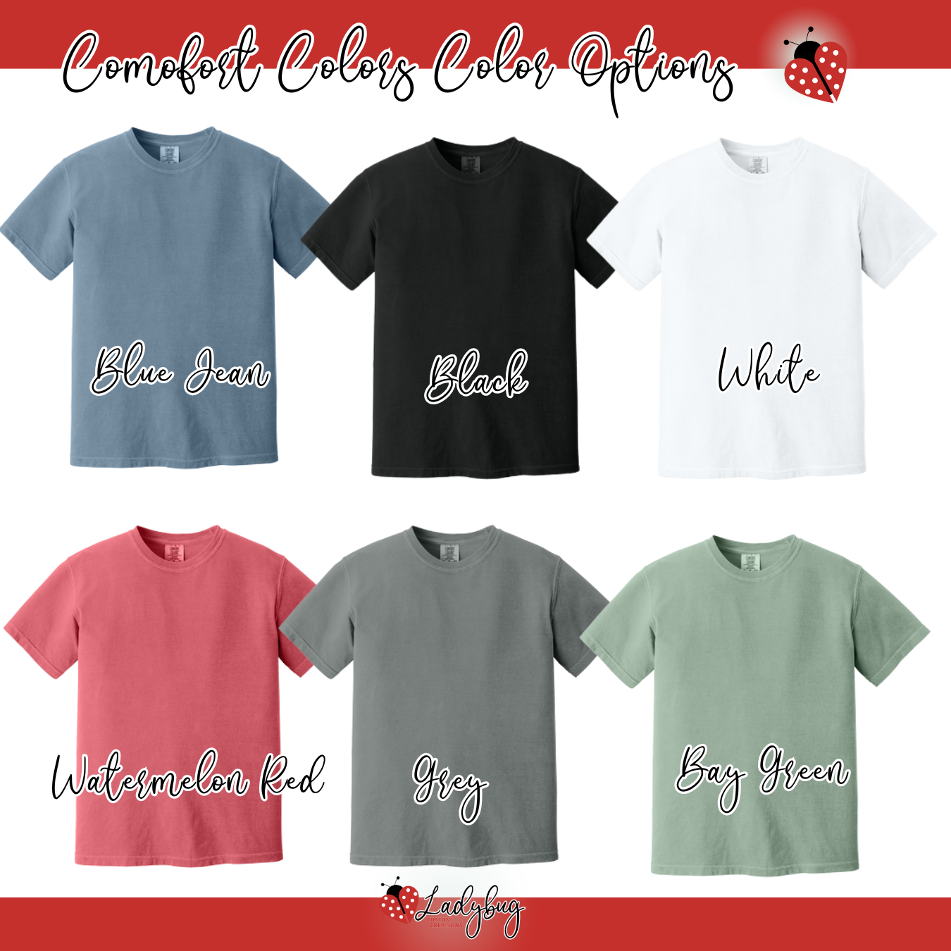 WSSA T-Shirt - Comfort Colors