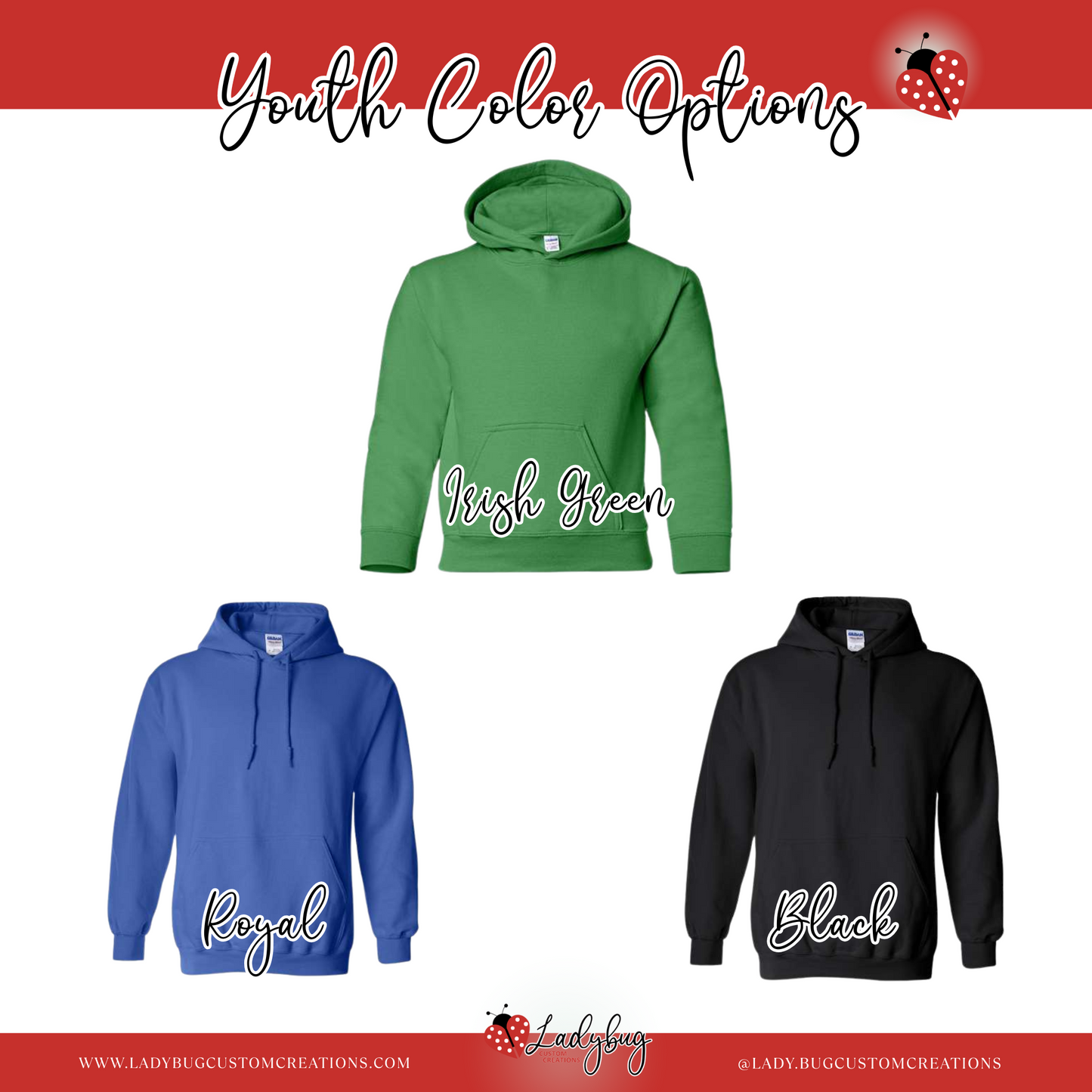 BVWYouth Hooded Sweatshirt