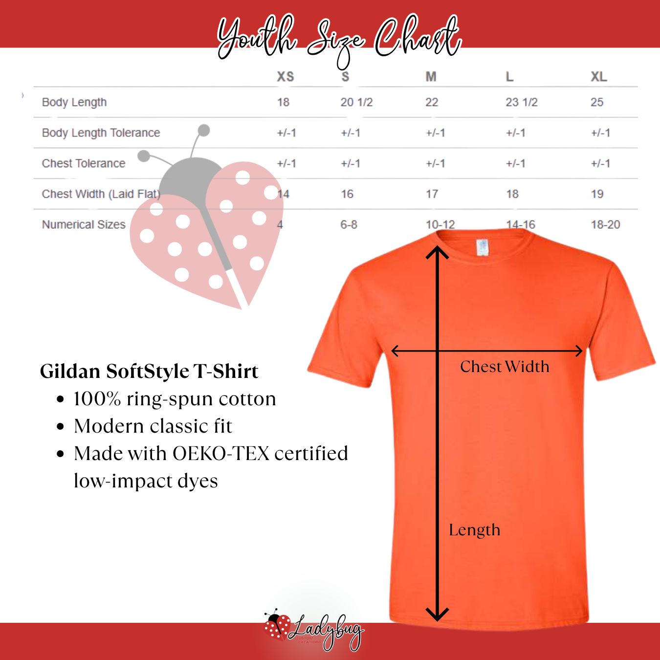 BVW Youth T-Shirt