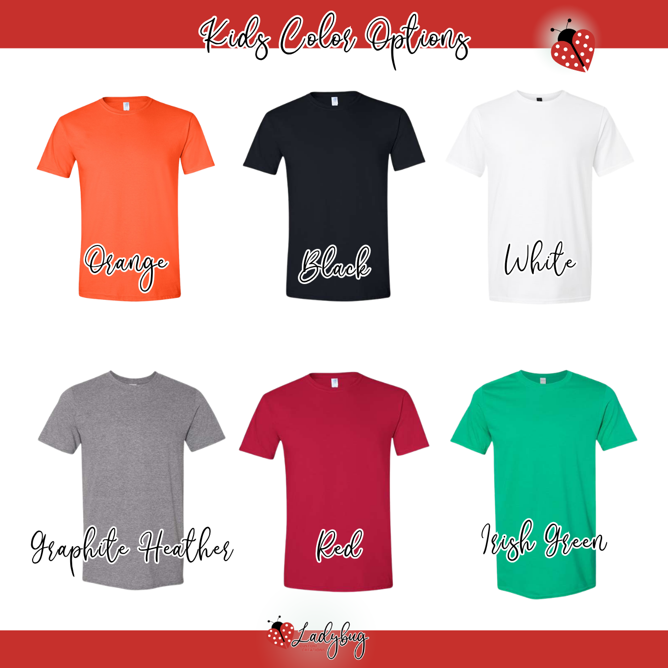 BVW Youth T-Shirt