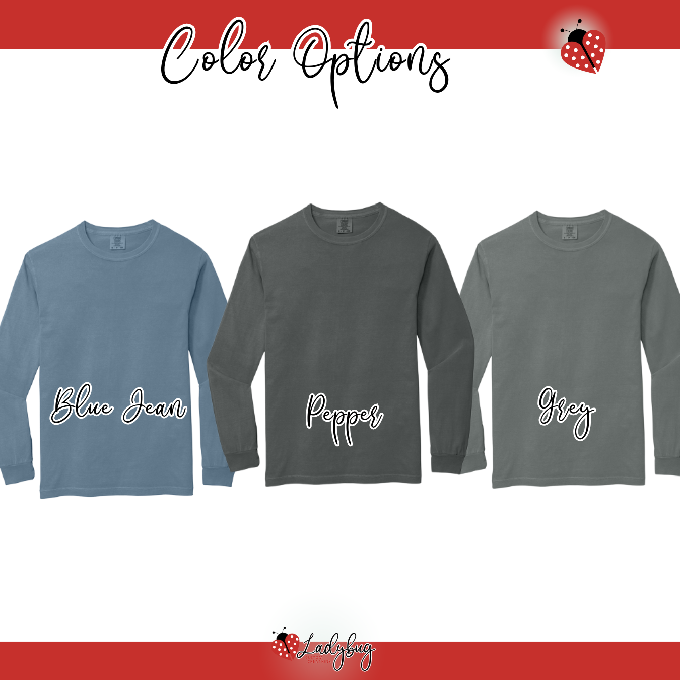 WSSA Long Sleeve T-Shirt - Comfort Colors Brand